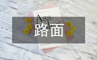 寧夏農村公路路面結構型式透析