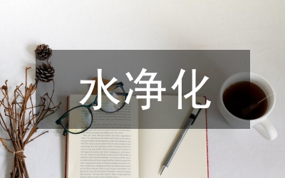 飲用水凈化系統(tǒng)分析論文