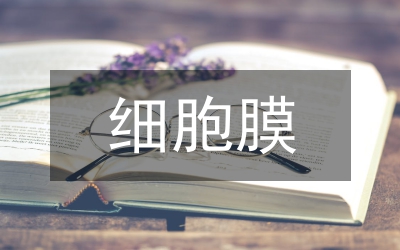 石榴皮對紅細胞膜脂質作用論文