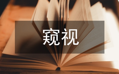 窺視行政法問題分析論文