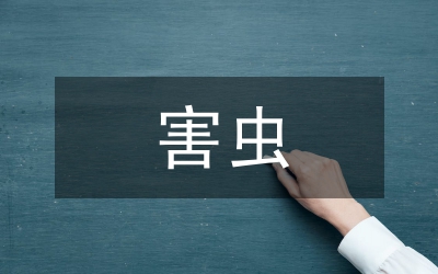 鉆蛀性害蟲的生物防治技術(shù)探究