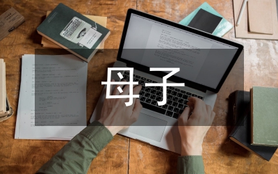 母子型企業(yè)集團財務(wù)管理體系構(gòu)建論文