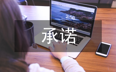 入世承諾主要條款綜述