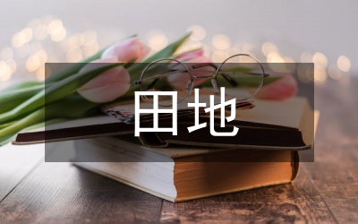 田地征收補償標準