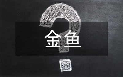 金魚的故事