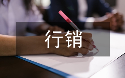 我國行銷策略及啟示論文