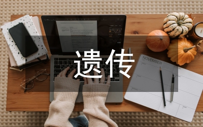 非遺傳承面臨的問題如何解決