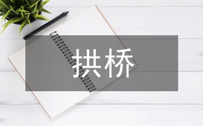 服役雙曲拱橋病害分析及加固研究