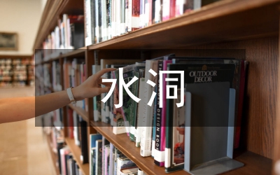 輸水洞維修加固設計要點淺析