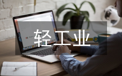 輕工業(yè)工作計劃