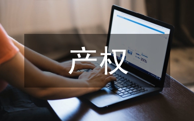 人力資本及產權特征論文