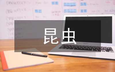 昆蟲