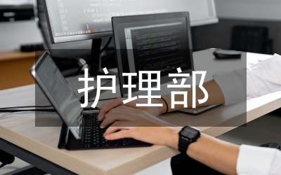 護理部領導人工作匯報