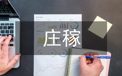 語文教學論文-像種莊稼一樣教語文