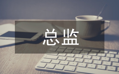 總監(jiān)轉(zhuǎn)正工作總結(jié)