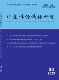 印度洋經濟體研究