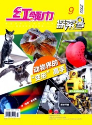 紅領(lǐng)巾·探索