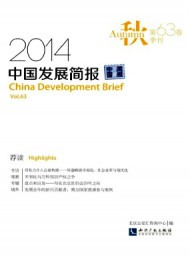 中國發展簡報