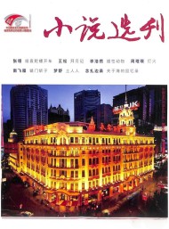 小說選刊雜志