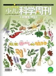 少兒科學周刊