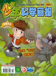 少年科學(xué)畫報(bào)雜志