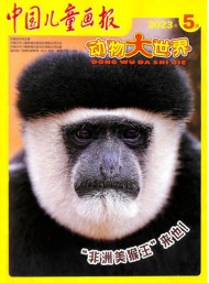 中國兒童畫報雜志