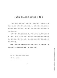 武漢市人民政府公報
